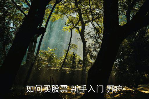 如何買股票 新手入門 開戶