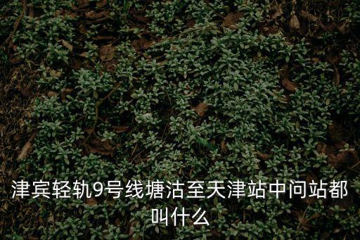 天津市9號線站臺名，津賓輕軌9號線塘沽至天津站中問站都叫什么
