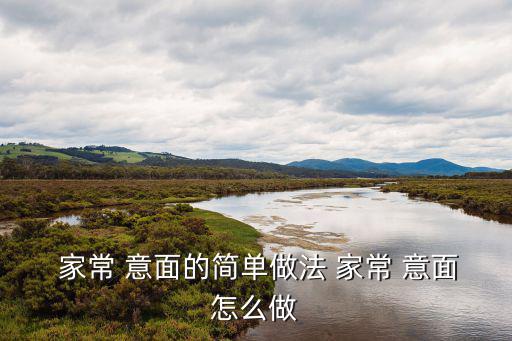  家常 意面的簡單做法 家常 意面怎么做