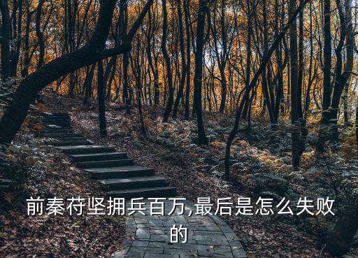 前秦苻堅,水之戰(zhàn):前秦軍隊混亂只有25萬軍士到前線