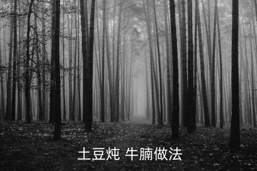  土豆燉 牛腩做法