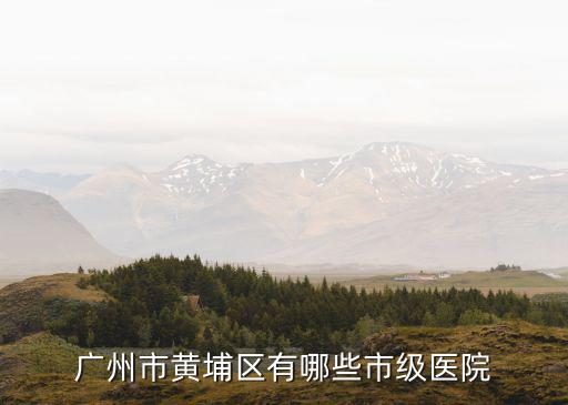 廣州市黃埔區有哪些市級醫院