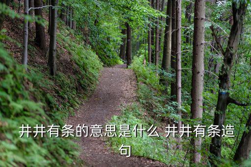 井井有條,井井有條:什么都安排在這里?答案是什么?