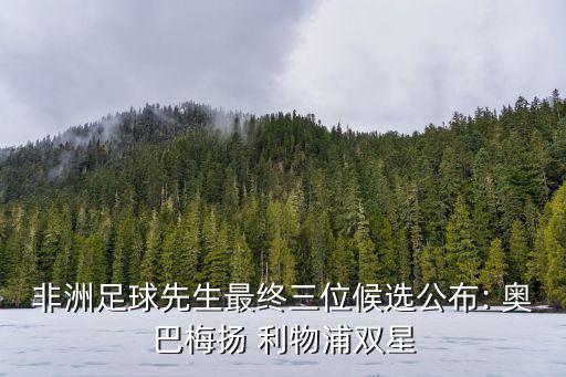 非洲足球先生最終三位候選公布: 奧巴梅揚 利物浦雙星
