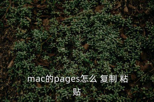 mac復制粘貼,mac如何預訂復制粘貼單詞?