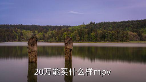 20萬能買什么樣mpv