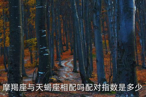 摩羯座與天蝎座相配嗎配對指數是多少