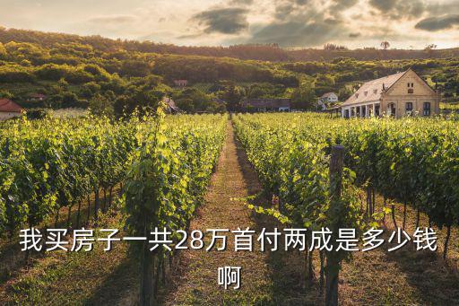 我買房子一共28萬首付兩成是多少錢啊