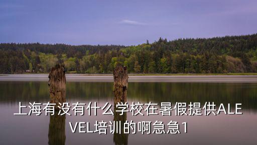 上海有沒有什么學校在暑假提供ALEVEL培訓的啊急急1