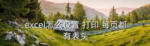  excel怎么設置 打印 每頁都 有表頭