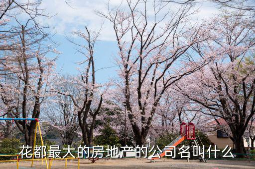 花都最大的房地產的公司名叫什么