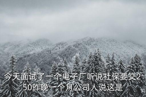 今天面試了一個電子廠聽說社保要交250昨晚一個月公司人說這是