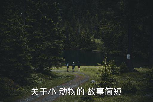 關于小動物的故事,小鴨子踩到青蛙腳后脫下腳道歉:我很抱歉