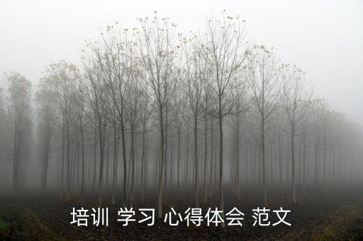 培訓(xùn) 學(xué)習(xí) 心得體會(huì) 范文