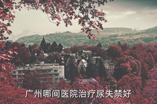 廣州哪間醫(yī)院治療尿失禁好