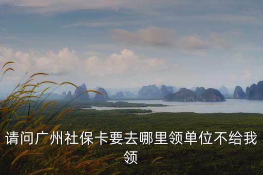 廣州社保機構辦理社保卡，請問廣州社保卡要去哪里領單位不給我領