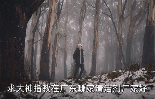 求大神指教在廣東哪家清潔劑廠家好
