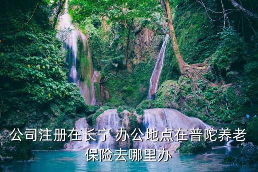 公司注冊在長寧 辦公地點在普陀養老保險去哪里辦