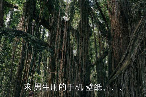 求 男生用的手機 壁紙、、、