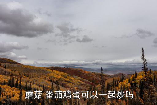  蘑菇 番茄雞蛋可以一起炒嗎