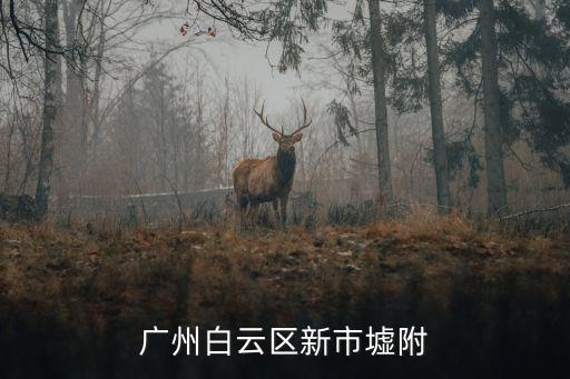 廣州白云區(qū)新市墟附