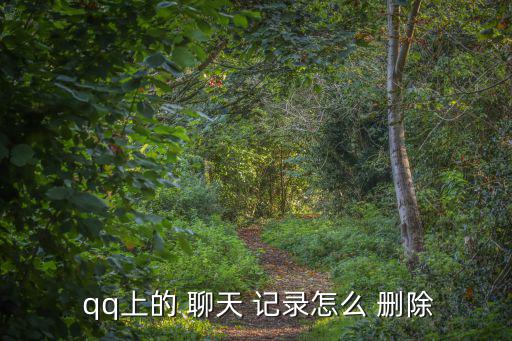  qq上的 聊天 記錄怎么 刪除