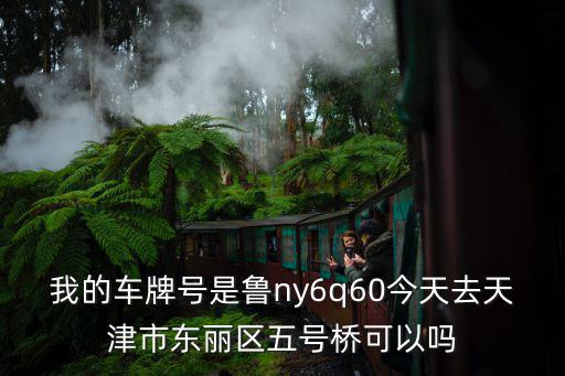 我的車牌號(hào)是魯ny6q60今天去天津市東麗區(qū)五號(hào)橋可以嗎