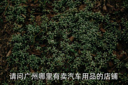 請問廣州哪里有賣汽車用品的店鋪