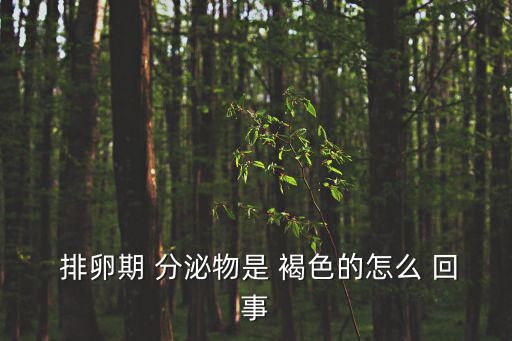 排卵期褐色分泌物怎么回事,卵泡破裂后會有少量出血