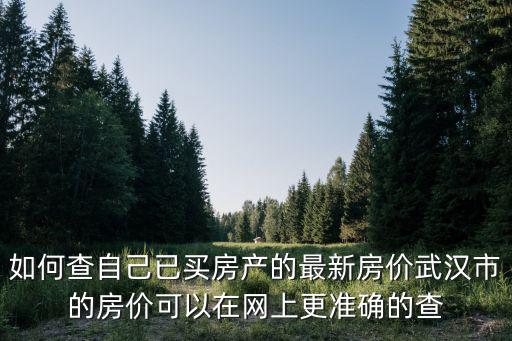 如何查自己已買房產(chǎn)的最新房價武漢市的房價可以在網(wǎng)上更準(zhǔn)確的查