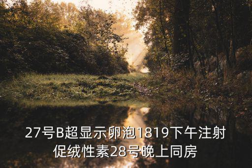 27號B超顯示卵泡1819下午注射促絨性素28號晚上同房