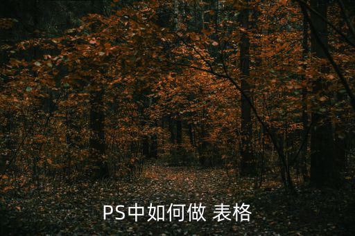 ps表格制作,怎么畫表格inps?