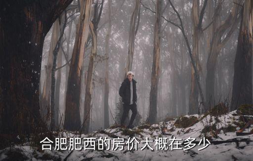 合肥肥西的房?jī)r(jià)大概在多少
