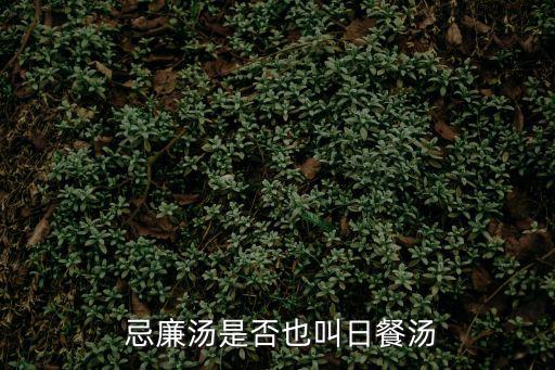  忌廉湯是否也叫日餐湯