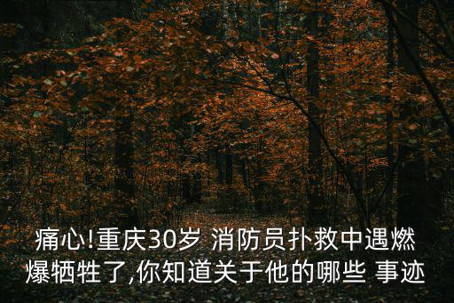 消防員事跡,他們是戰士還是將軍