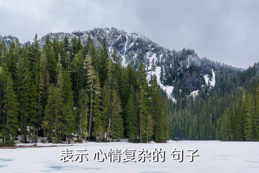 心情復(fù)雜的句子,心情復(fù)雜代表內(nèi)疚和不安