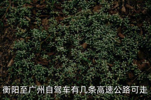 衡陽至廣州自駕車有幾條高速公路可走