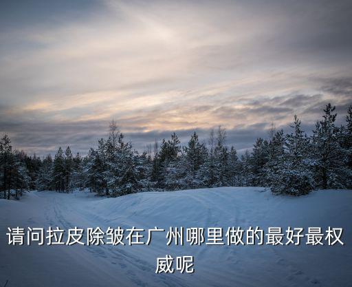 廣州哪里能做拉皮手術，想拉皮請問一下這個廣州哪個整容醫院好 謝謝各位