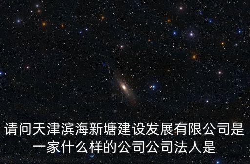 請問天津?yàn)I海新塘建設(shè)發(fā)展有限公司是一家什么樣的公司公司法人是