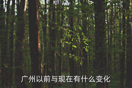 廣州以前與現(xiàn)在有什么變化