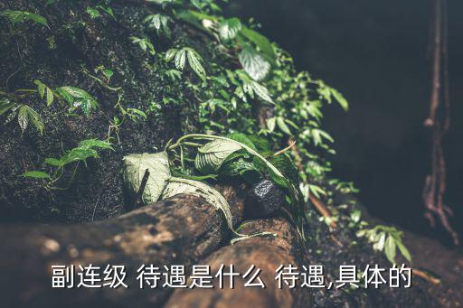 副軍級待遇,河南副省長享受副部級待遇是副廳級官員