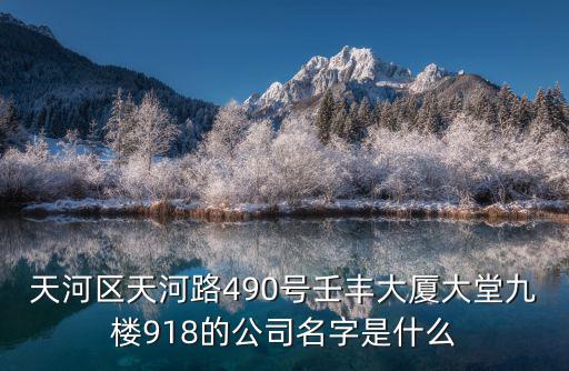 天河區天河路490號壬豐大廈大堂九樓918的公司名字是什么