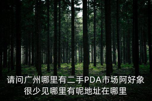 請問廣州哪里有二手PDA市場阿好象很少見哪里有呢地址在哪里