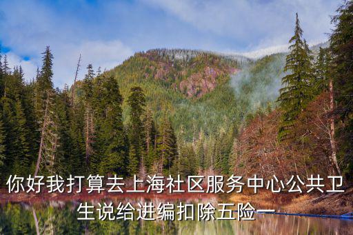 你好我打算去上海社區服務中心公共衛生說給進編扣除五險一