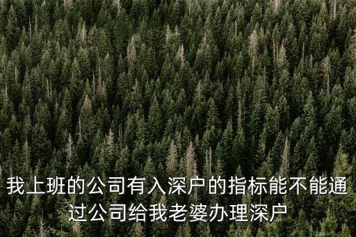 公司指標入戶員工有什么要求，單位有入深圳戶口指標還需要哪些條件