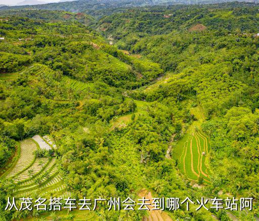 從茂名搭車去廣州會去到哪個(gè)火車站阿