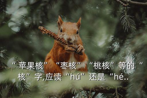 “ 蘋果核”“棗核”“桃核”等的“核”字,應讀“hú”還是“hé...