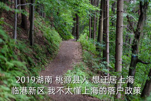 2019湖南 桃源縣人 想遷居上海 臨港新區 我不太懂上海的落戶政策