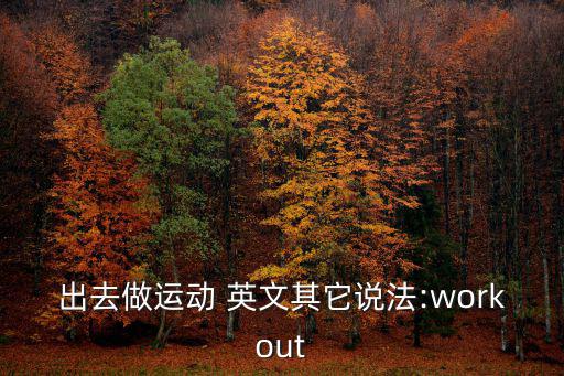 出去做運動 英文其它說法:workout