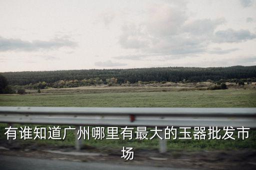 廣州華林批發玉器，廣州華林玉器批發市場有椰蒂手串賣嗎